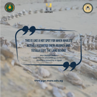History Platform Highlights Mansoura University’s Whale Fossil Discoveries